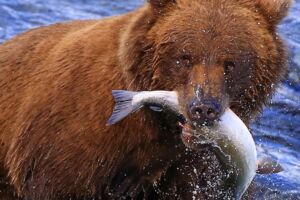 Alaska und der Südwesten der USA
