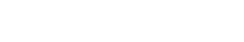 Logo der Pforzheimer Zeitung