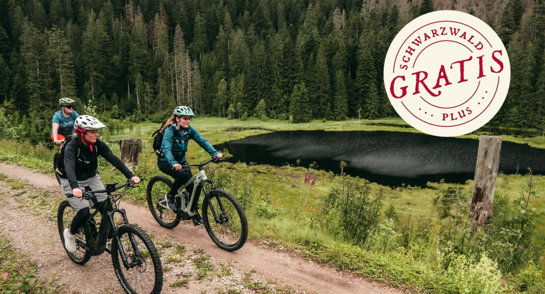 naturerlebnistage-und-artenvielfalt