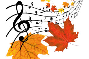 Novembergesicht - 2 Takte im Taunus