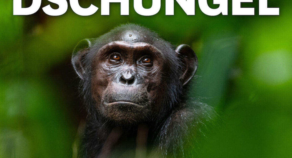 mundologia-dschungelwelten-zusatztermin