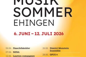 Musiksommer Ehingen 2026 - Wahlabo