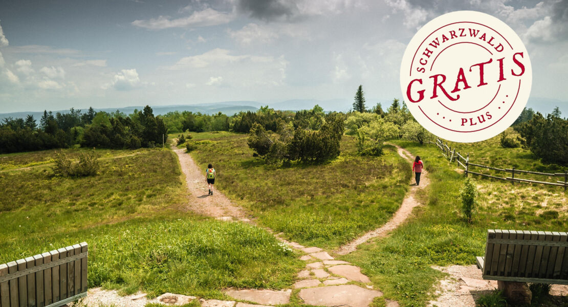 wilde-landschaften-am-schliffkopf