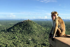 Sri Lanka – Natur, Kultur und Vielfalt