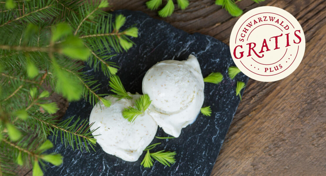 baiersbronner-schatze-waldhonig-und-fichtenspitzeneis