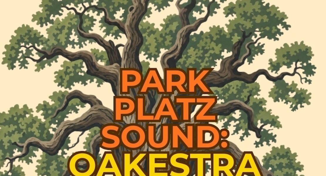park-platz-sound-oakestra-mit-dem-crescenzi-hinz-quartett