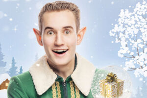 Linus Faber - Eine magische Elfenmission