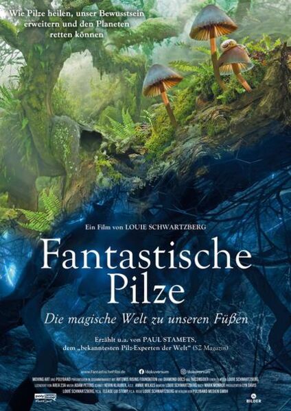 fantastische-pilze-die-magische-welt-zu-unseren-fussen