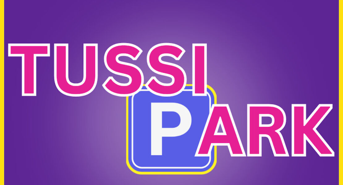 tussipark-silvester-1