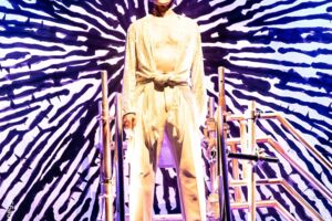David Bowie Asteroid 342843 - Eine Hommage an die Legende des Glam-Rock