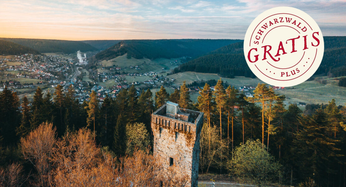 panoramawanderung-rund-um-den-rinkenberg