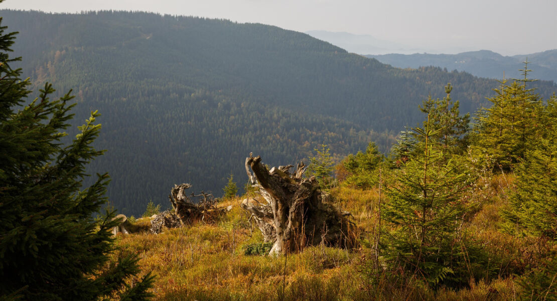 mit-dem-mountainbike-in-die-hochlagen-des-nationalparks