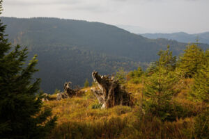 Mit dem Mountainbike in die Hochlagen des Nationalparks