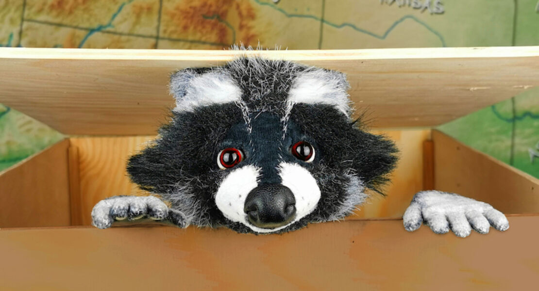 rocky-waschbar-der-apfelkuchendieb-ab-4-jahren