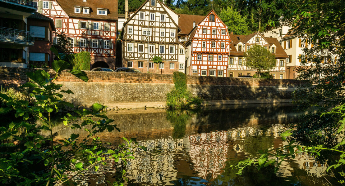 calw-als-schulstadt