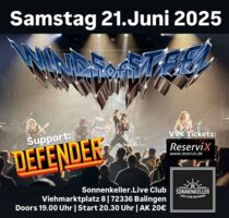 Wings of Steel, Defender
