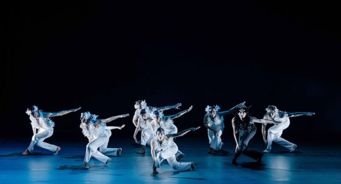 schwanensee-neues-tanzstuck-von-guido-markowitz-und-mar-rodriguez-valverde