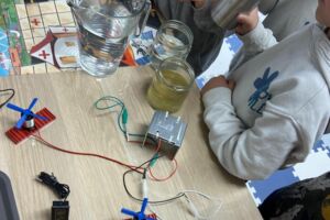 Stars for Kids: Experimente rund um Elektrizität - Was haben Obst, Zitterrochen und Handys mit Elektrizität zu tun?