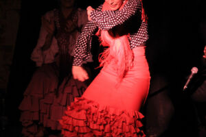 Flamenco del Sur - El Pasaje Flamenco