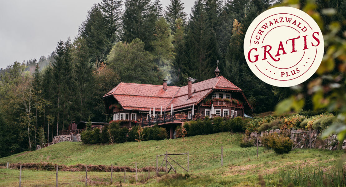 baiersbronner-schatze-buhlbachforelle