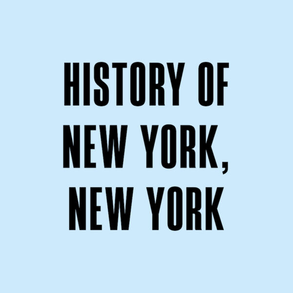 history-of-new-york-new-york-eine-revue