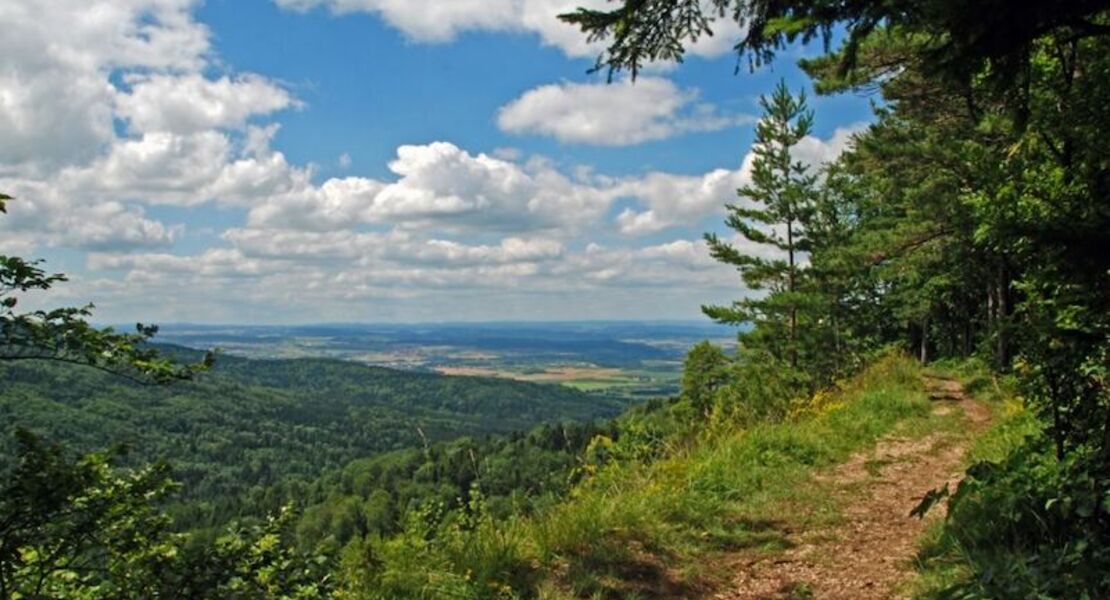 herbstfarben-rund-ums-ehemalige-hochmoor
