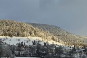 Romantische Waldweihnacht auf der Erdbeerplatte
