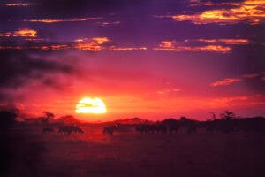 Multivisionsshow - Südafrika