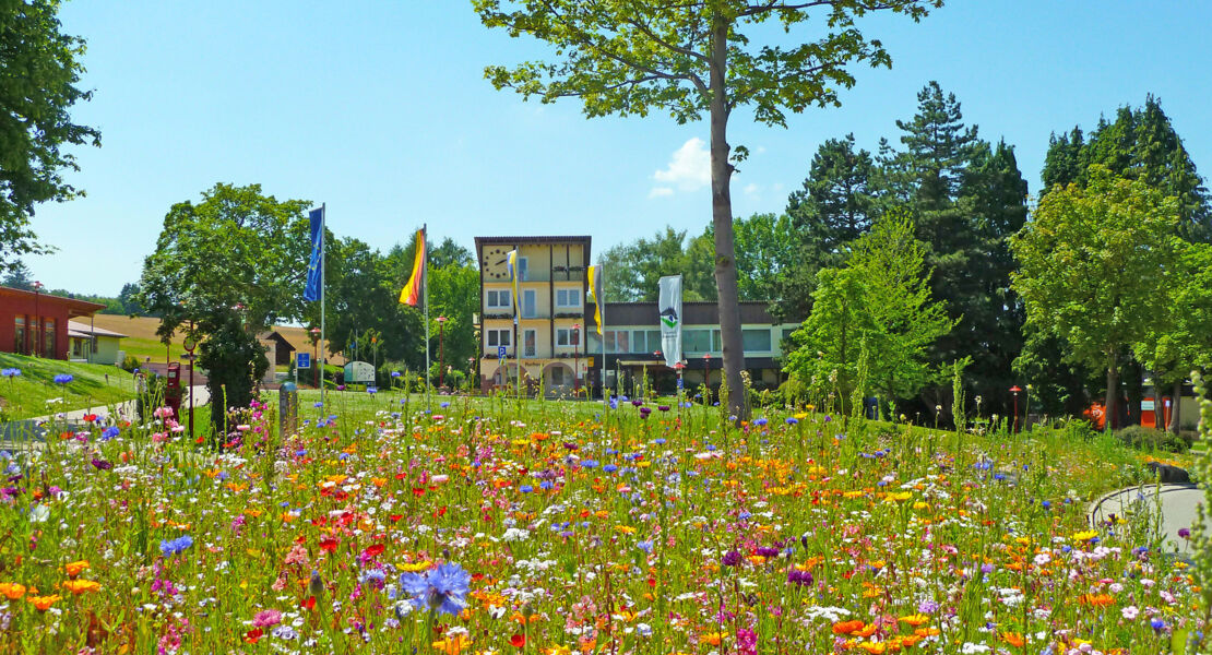 sonneninsel-steetfood-sommer-3-septemberwochenende-mit-crazy-foods