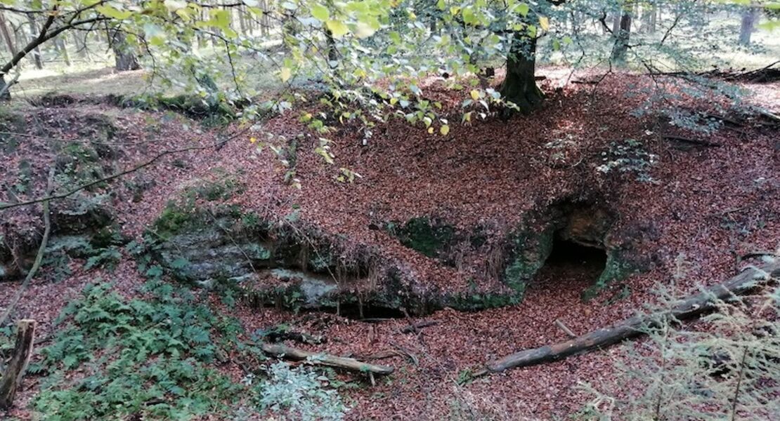 wanderung-sagenhafte-wanderung-durch-die-emmelkamper-mark