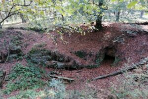 Wanderung: Sagenhafte Wanderung durch die Emmelkämper Mark
