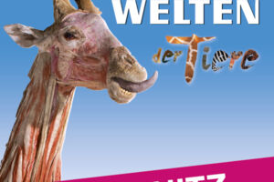 KÖRPERWELTEN der Tiere | Chemnitz | Zeitfensterticket