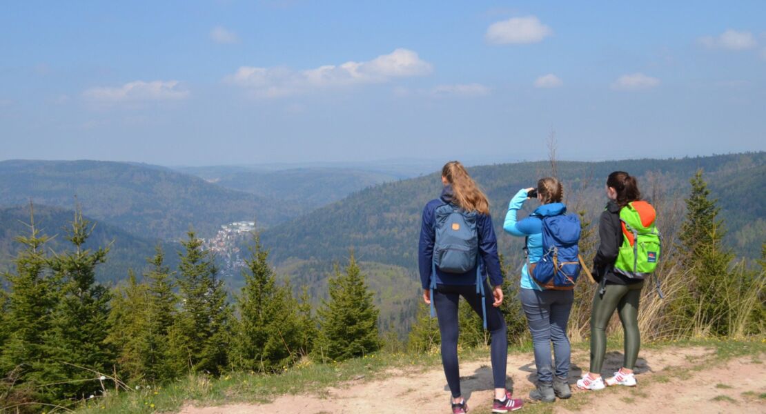 spazierwandern-im-heilklima-blochbergweg-bernbach