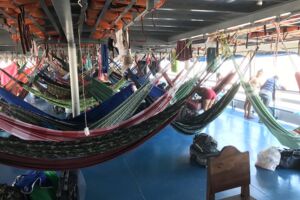 Norbert Auste in Brasilien - (Über-) Leben am Amazonas