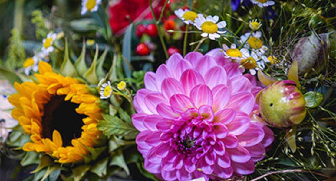 flower-loops-grunes-gluck