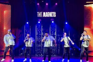 The Magnets - 