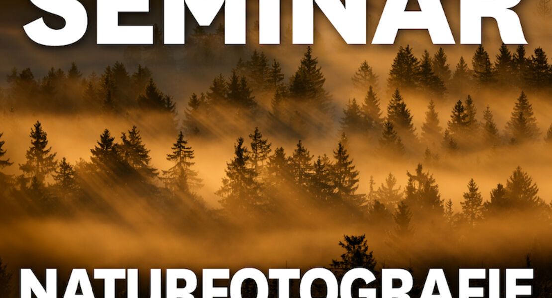 mundologia-seminar-grundlagen-der-naturfotografie