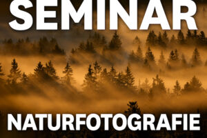 MUNDOLOGIA-Seminar: Grundlagen der Naturfotografie