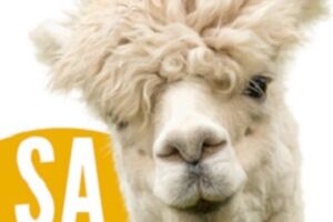 Nationale Alpaka Show