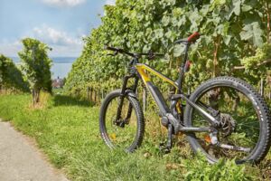 Thurgau Radrunde mit Napoleonturm - Ganztagestour