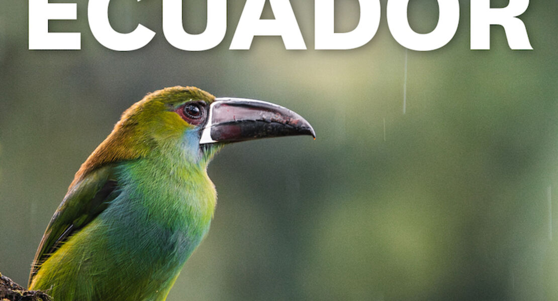 mundologia-ecuador