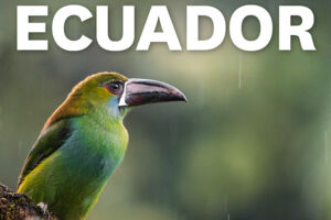 MUNDOLOGIA: Ecuador