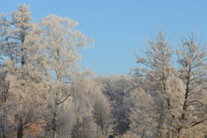 Wanderung zum Jahresbeginn