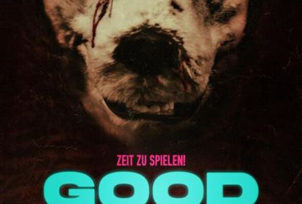 good-boy