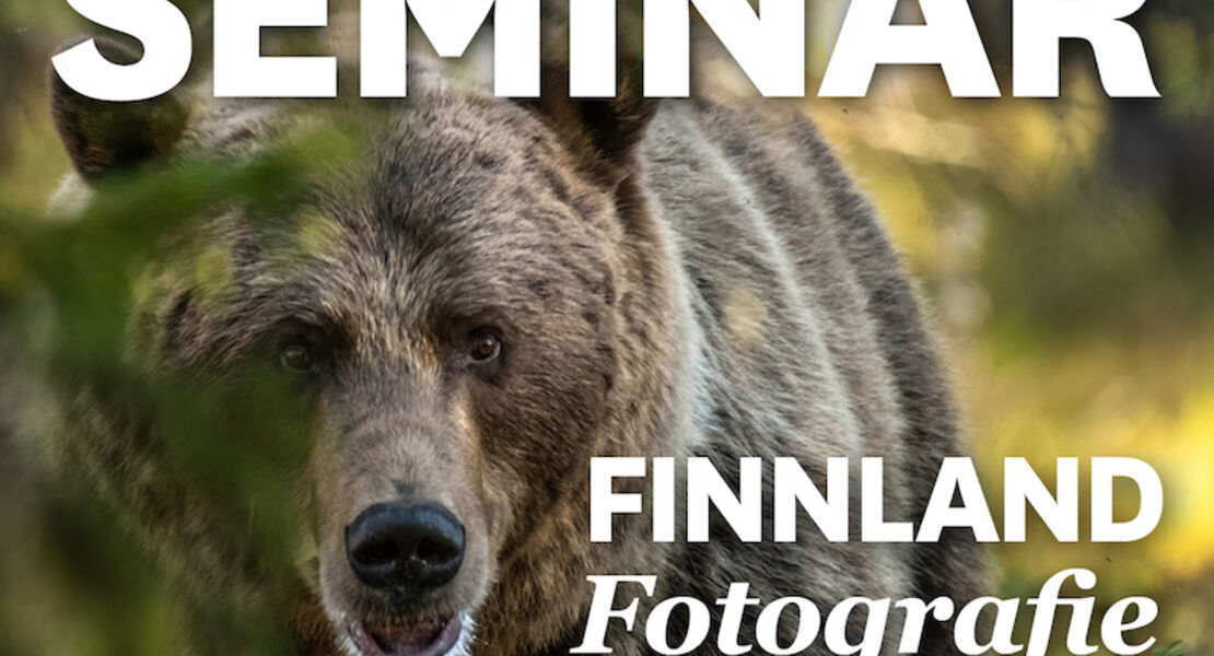 mundologia-seminar-wildlife-fotografie-in-finnland