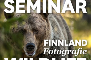 MUNDOLOGIA-Seminar: Wildlife Fotografie in Finnland
