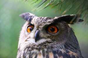 Führung Besucherzentrum Wildpark