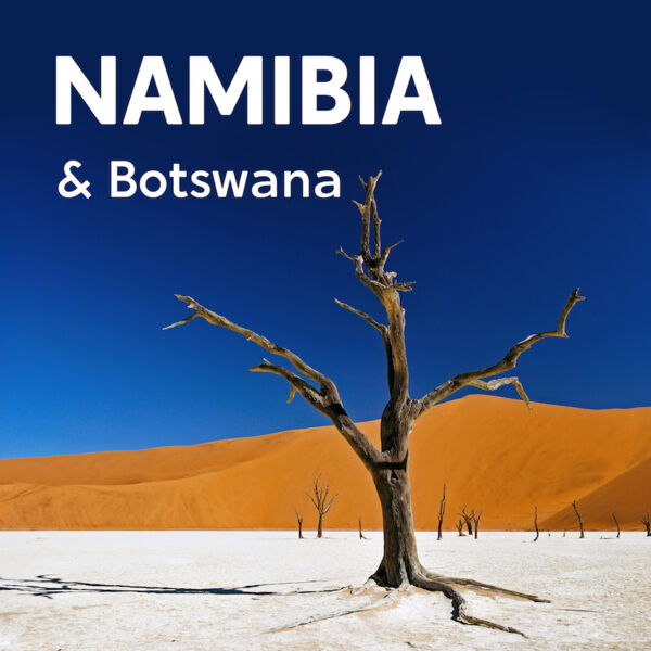 namibia-botswana-wildnis-afrika