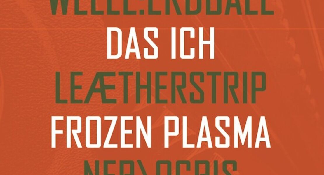 electronic-dance-art-festival-2025-suicide-commando-welleerdball-das-ich-leaether-strip-frozen-plasma-nerogris