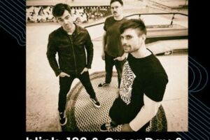 SK8PRK - Covern die Poppunkgiganten der 2000er